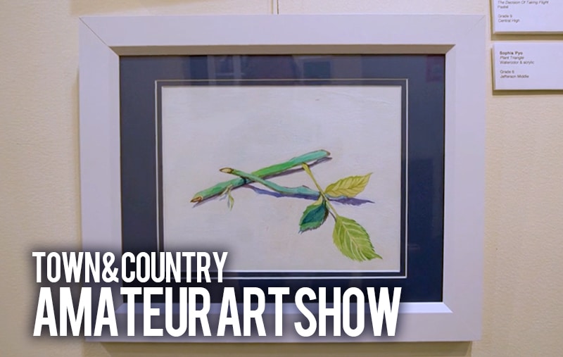 Town & Country Amateur Art Show over drawing of 2 bamboo springs laying across each other