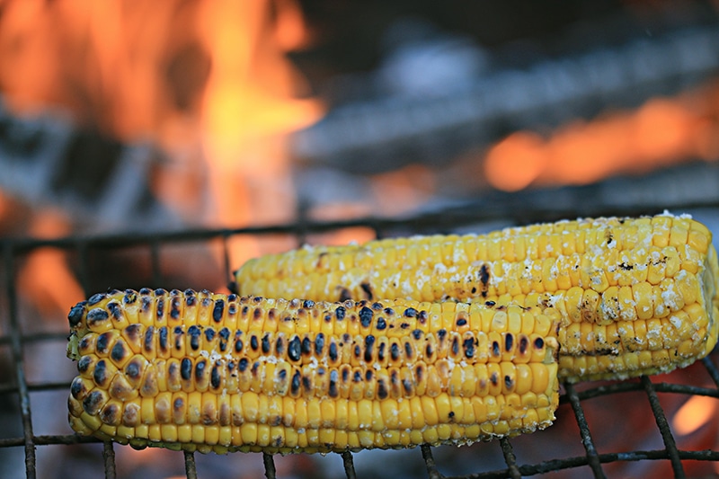 corn grill with nice dark char on ear of corn