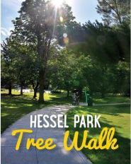 Hessel Park Tree Walk