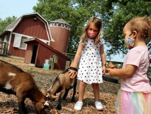 Two young girls brushing baby goats at Prairie Farm Children's Petting Zoo.