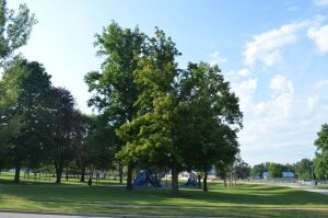 Centennial Park filled with it's big trees, playground, swimming pools, recreation centers, and more.