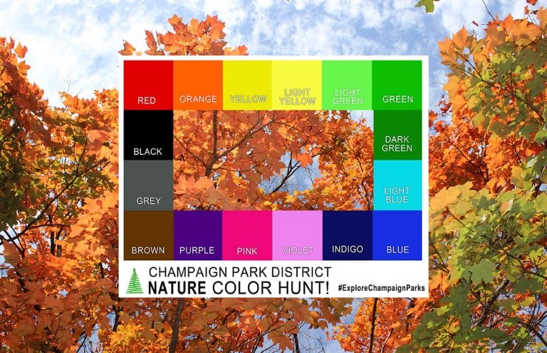 Champaign Park District Nature Color Hunt. Blocks of colors labelled with their names, frame a cut out center to help match the colors with items you find in a park. #ExploreChampaignParks