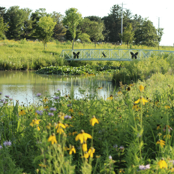 Native flowers and butterfly bridge at Porter Park.
