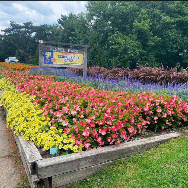 A colorful flowerbed.